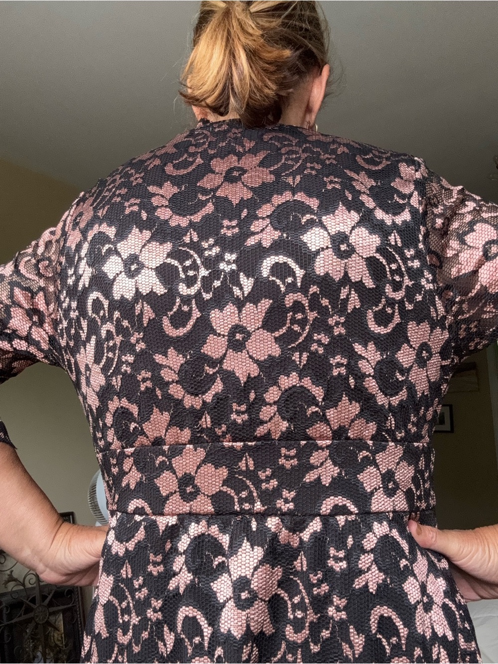 Kiyonna Black Dress with Blush Lace Accents - Picture 3 of 8